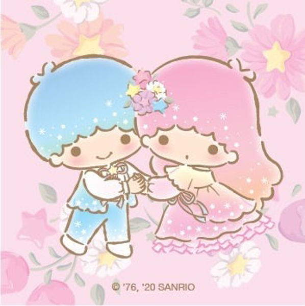 Picture for category Little Twin Stars